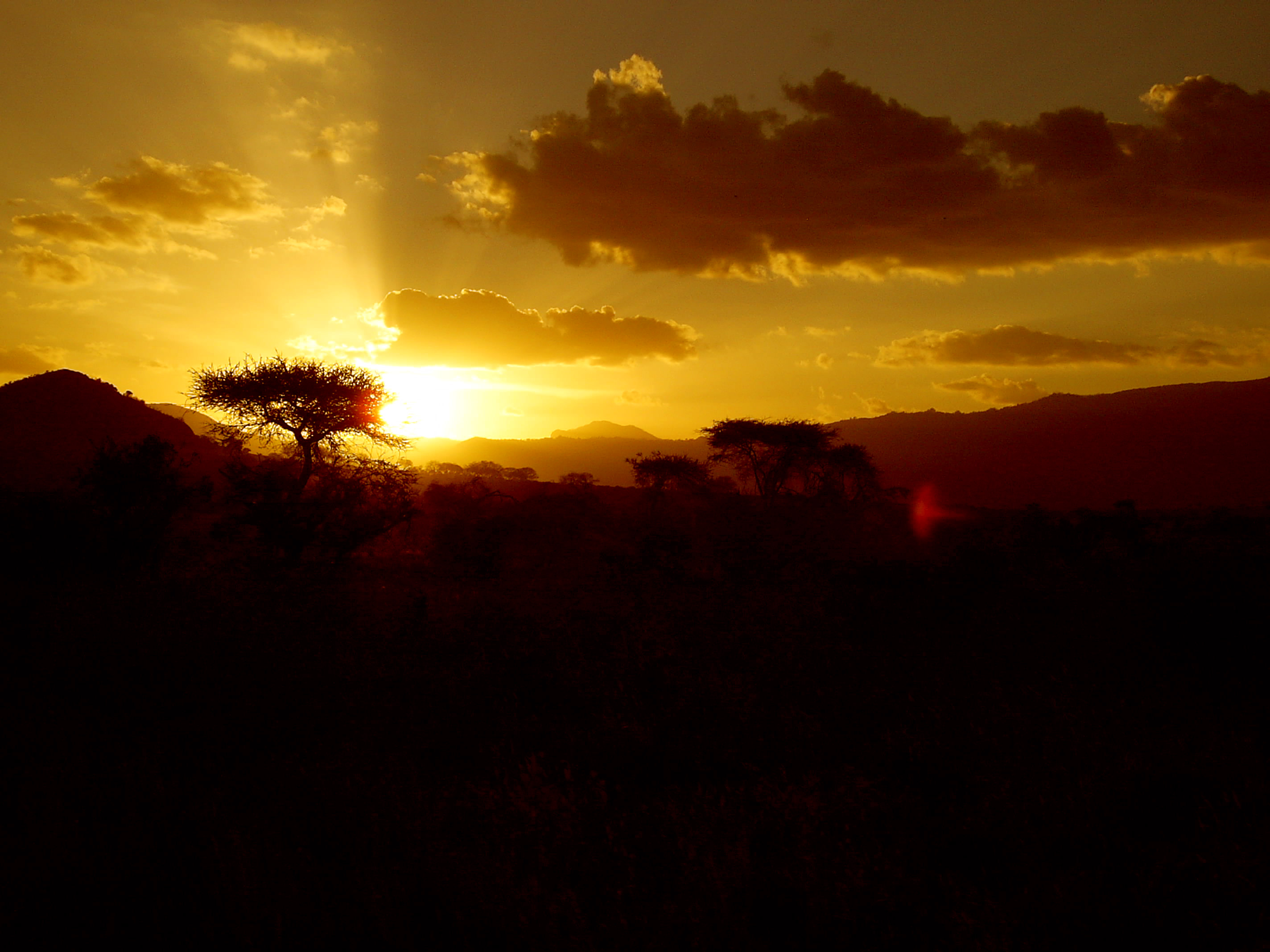 Maasai Mara Special